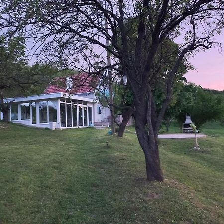 Honey Hill Apartment Fruska Gora Cerevic エクステリア 写真