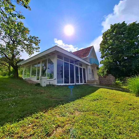 Honey Hill Apartment Fruska Gora Cerevic エクステリア 写真