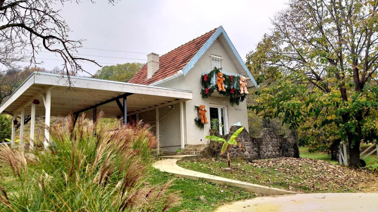 Honey Hill Apartment Fruska Gora Cerevic エクステリア 写真