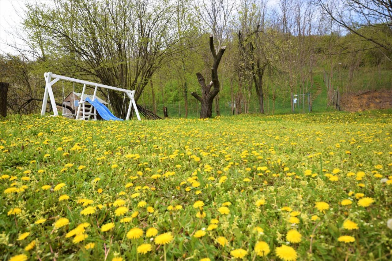 Honey Hill Apartment Fruska Gora Cerevic エクステリア 写真