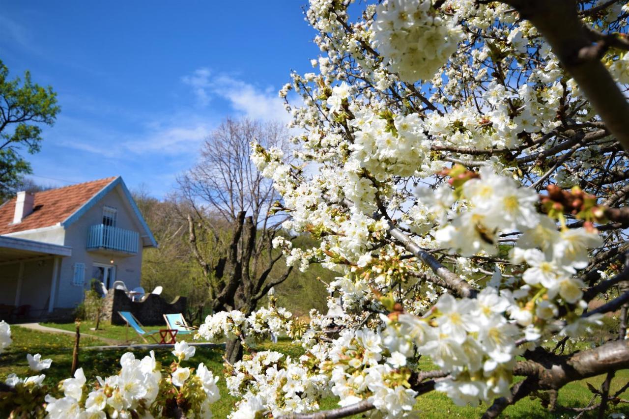 Honey Hill Apartment Fruska Gora Cerevic エクステリア 写真