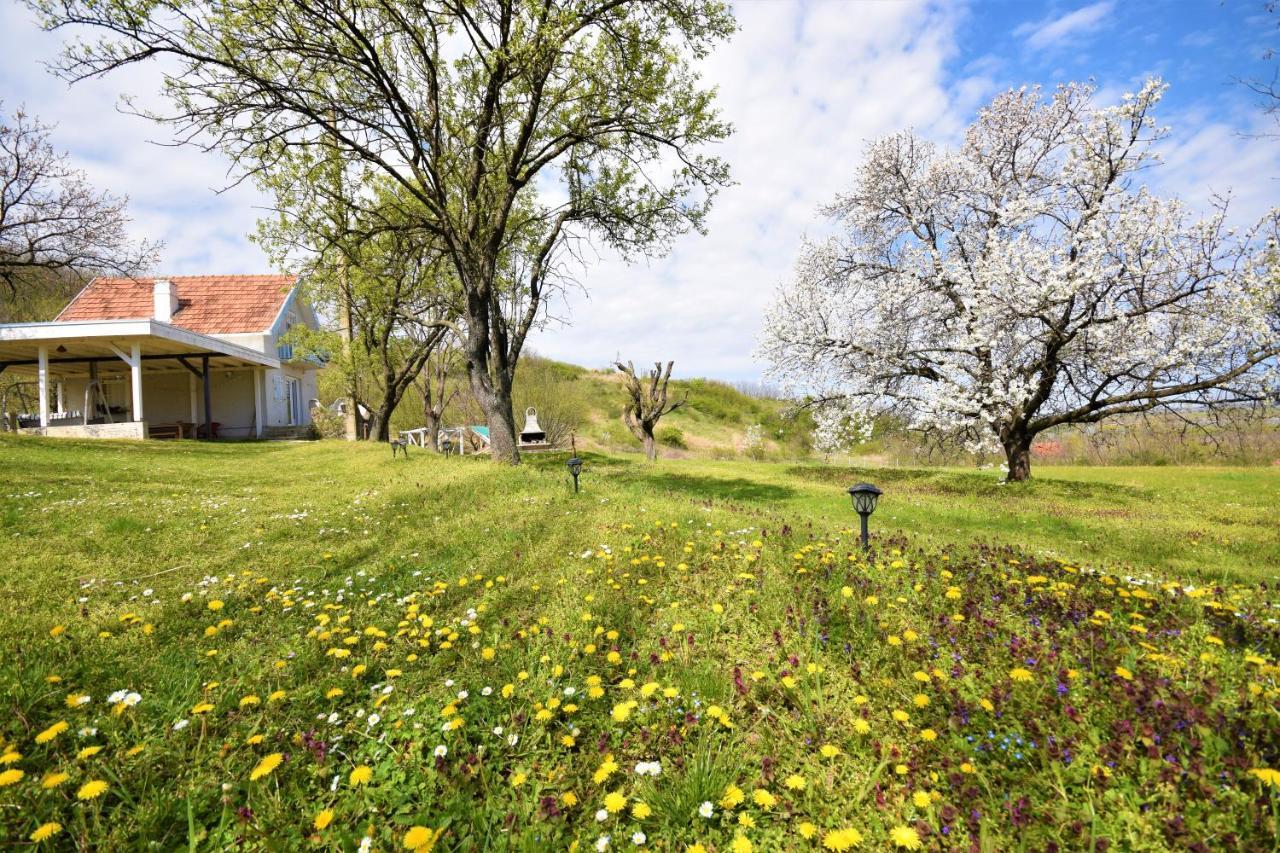 Honey Hill Apartment Fruska Gora Cerevic エクステリア 写真