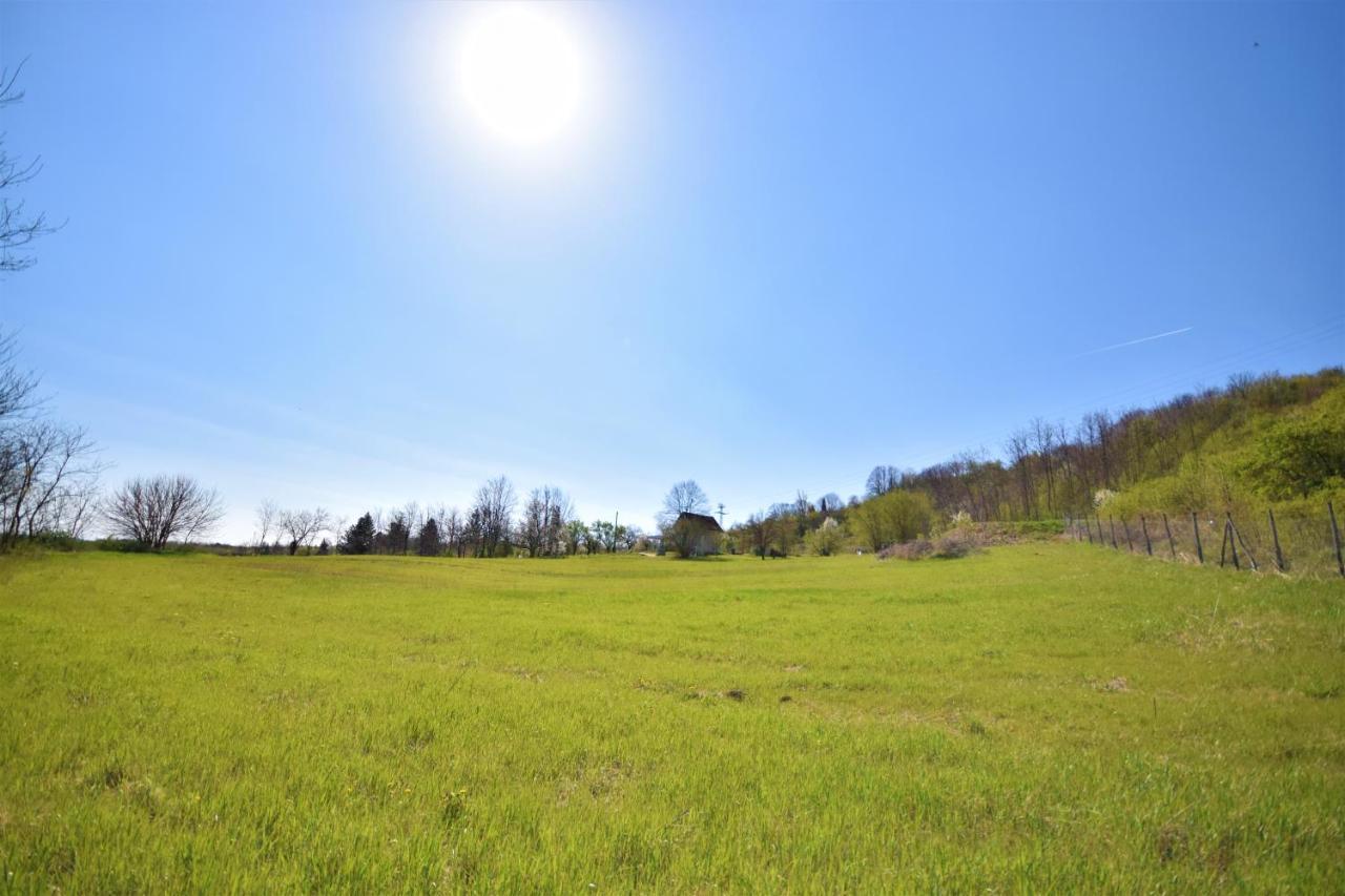 Honey Hill Apartment Fruska Gora Cerevic エクステリア 写真
