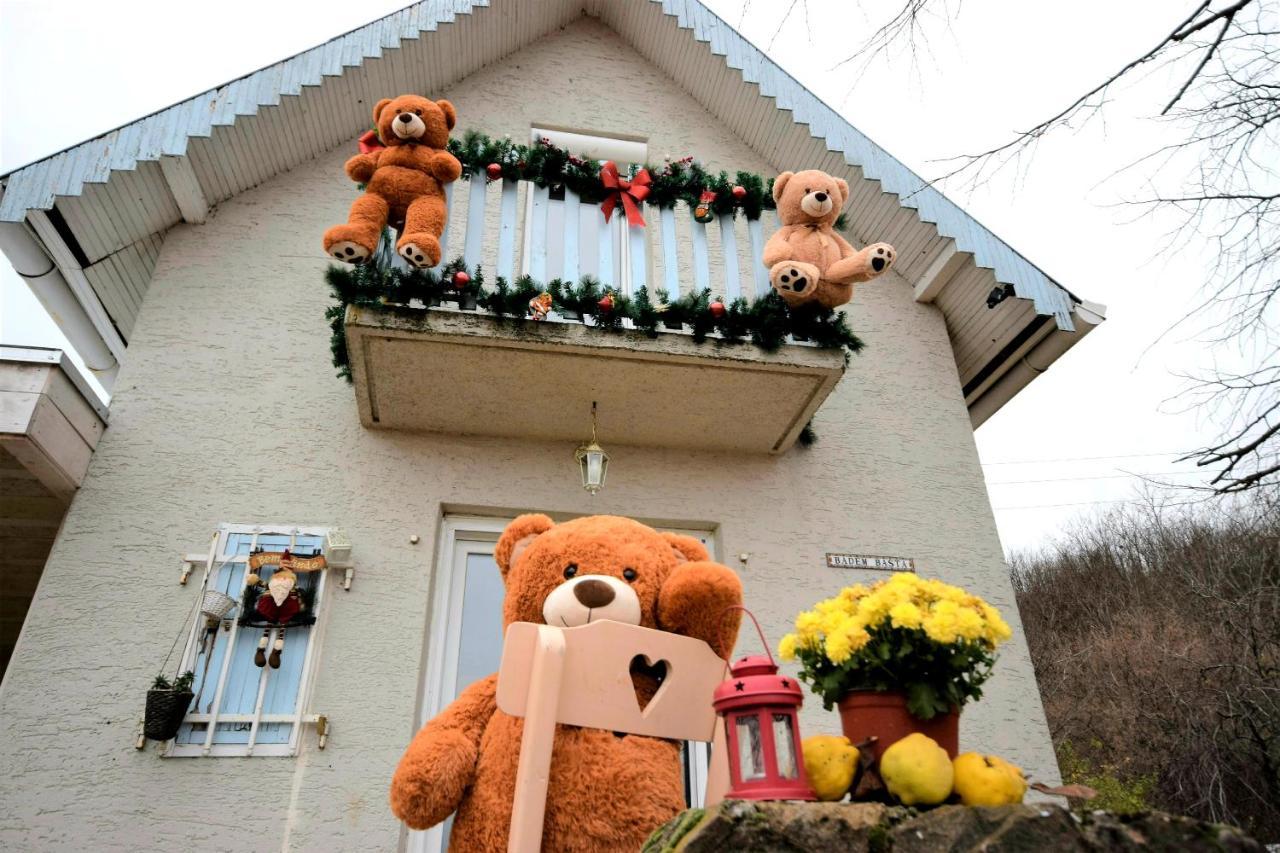 Honey Hill Apartment Fruska Gora Cerevic エクステリア 写真