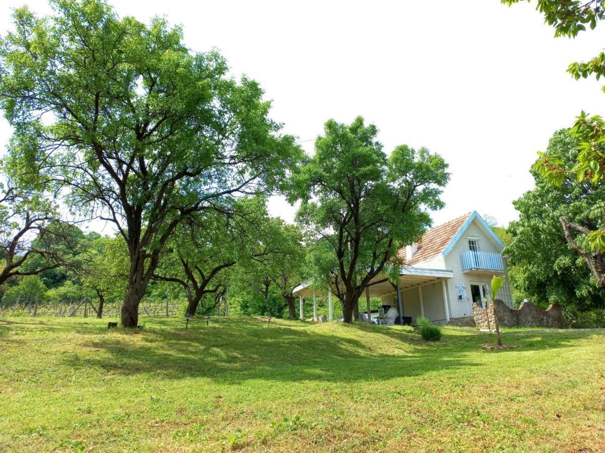 Honey Hill Apartment Fruska Gora Cerevic エクステリア 写真