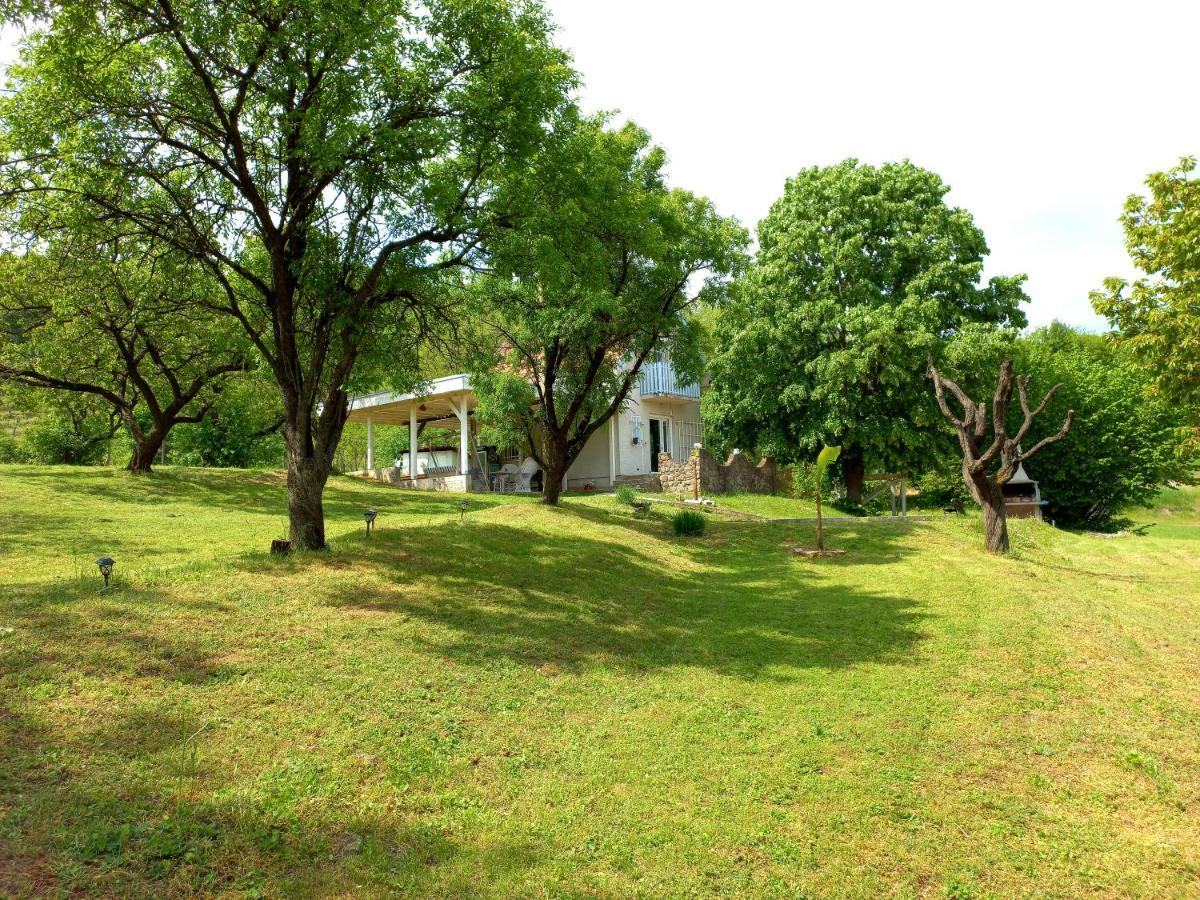 Honey Hill Apartment Fruska Gora Cerevic エクステリア 写真
