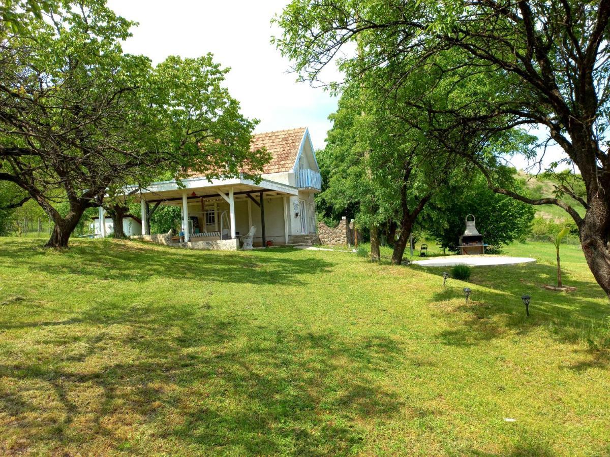 Honey Hill Apartment Fruska Gora Cerevic エクステリア 写真