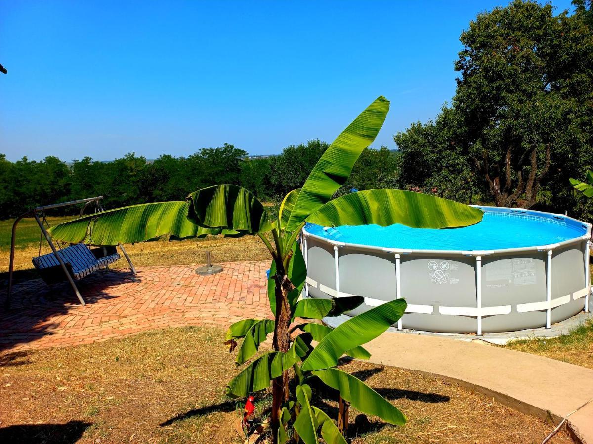 Honey Hill Apartment Fruska Gora Cerevic エクステリア 写真
