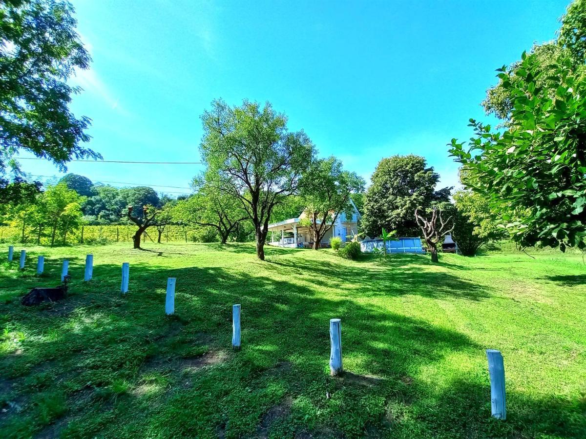 Honey Hill Apartment Fruska Gora Cerevic エクステリア 写真