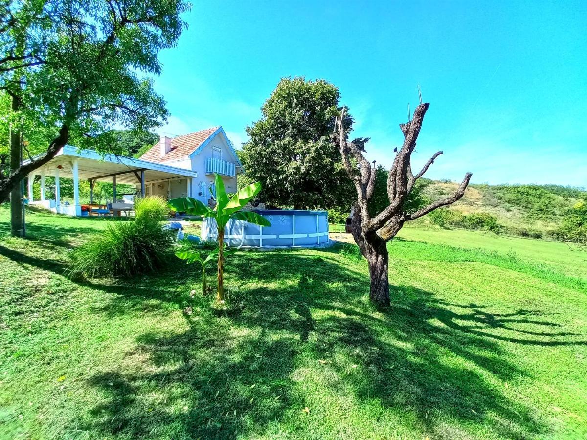 Honey Hill Apartment Fruska Gora Cerevic エクステリア 写真