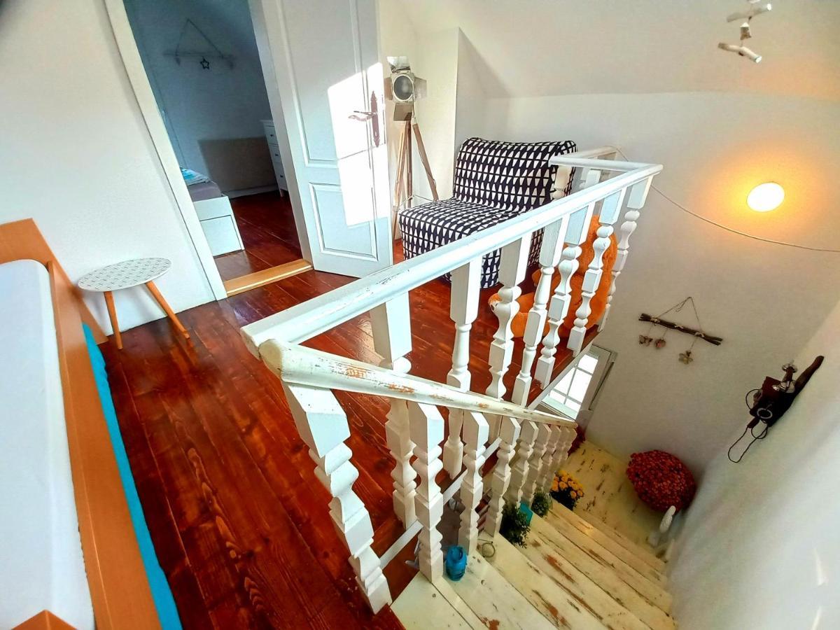 Honey Hill Apartment Fruska Gora Cerevic エクステリア 写真