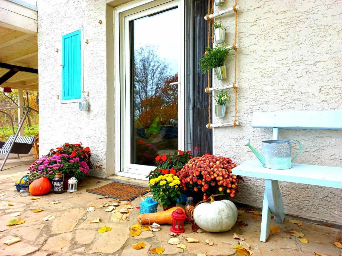 Honey Hill Apartment Fruska Gora Cerevic エクステリア 写真
