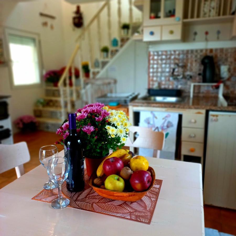 Honey Hill Apartment Fruska Gora Cerevic エクステリア 写真