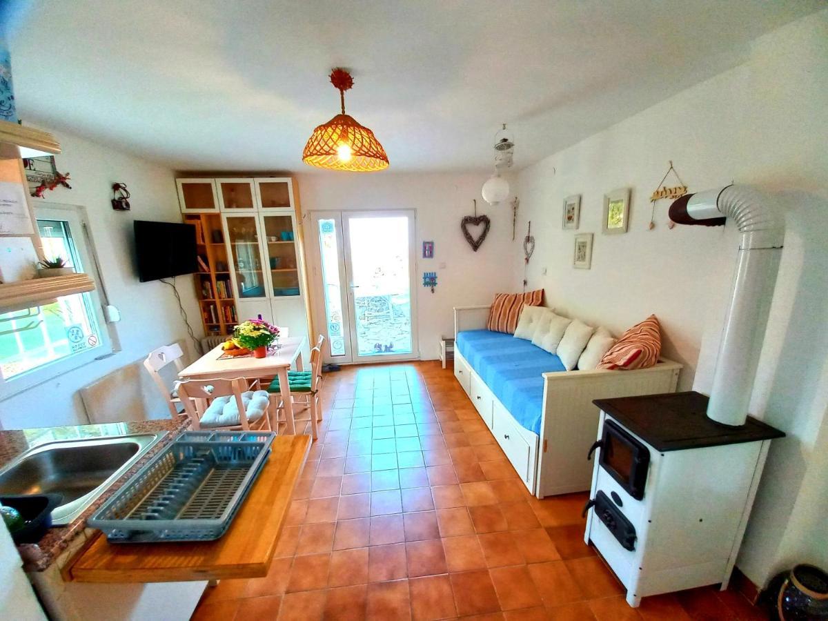 Honey Hill Apartment Fruska Gora Cerevic エクステリア 写真
