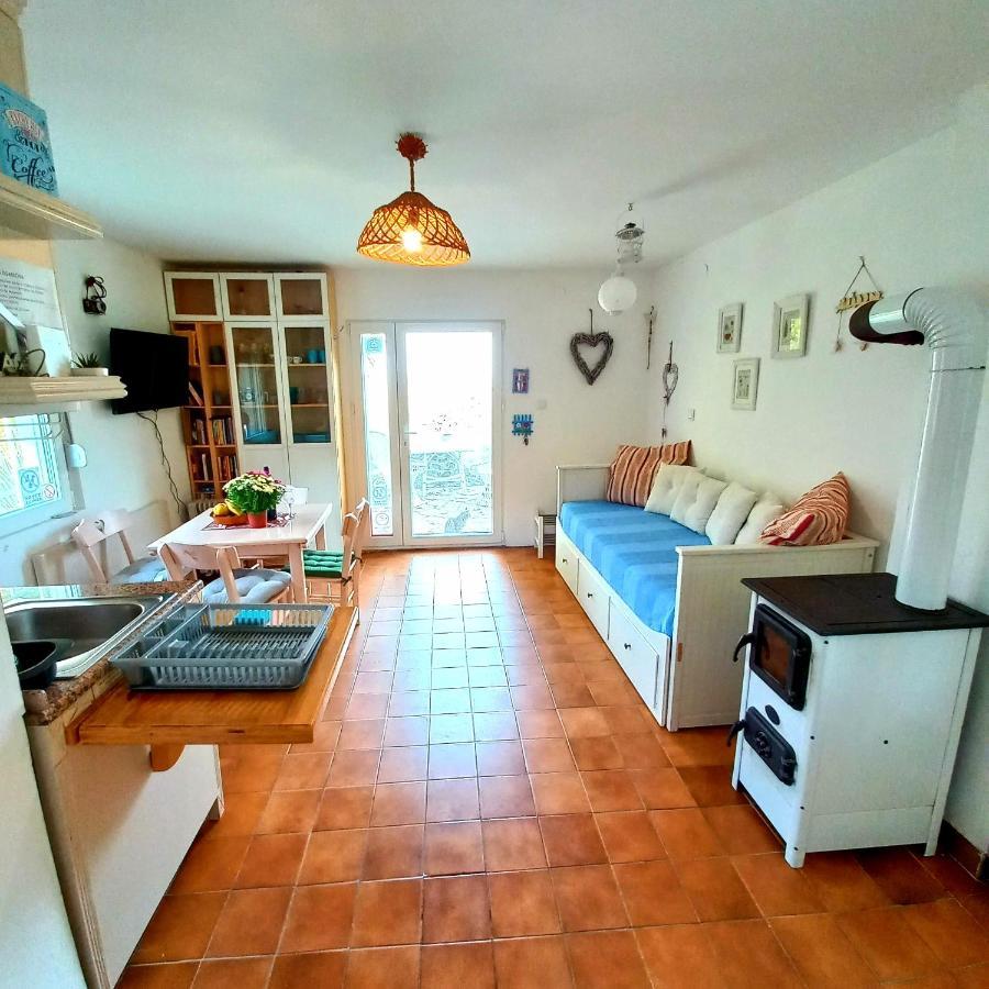 Honey Hill Apartment Fruska Gora Cerevic エクステリア 写真