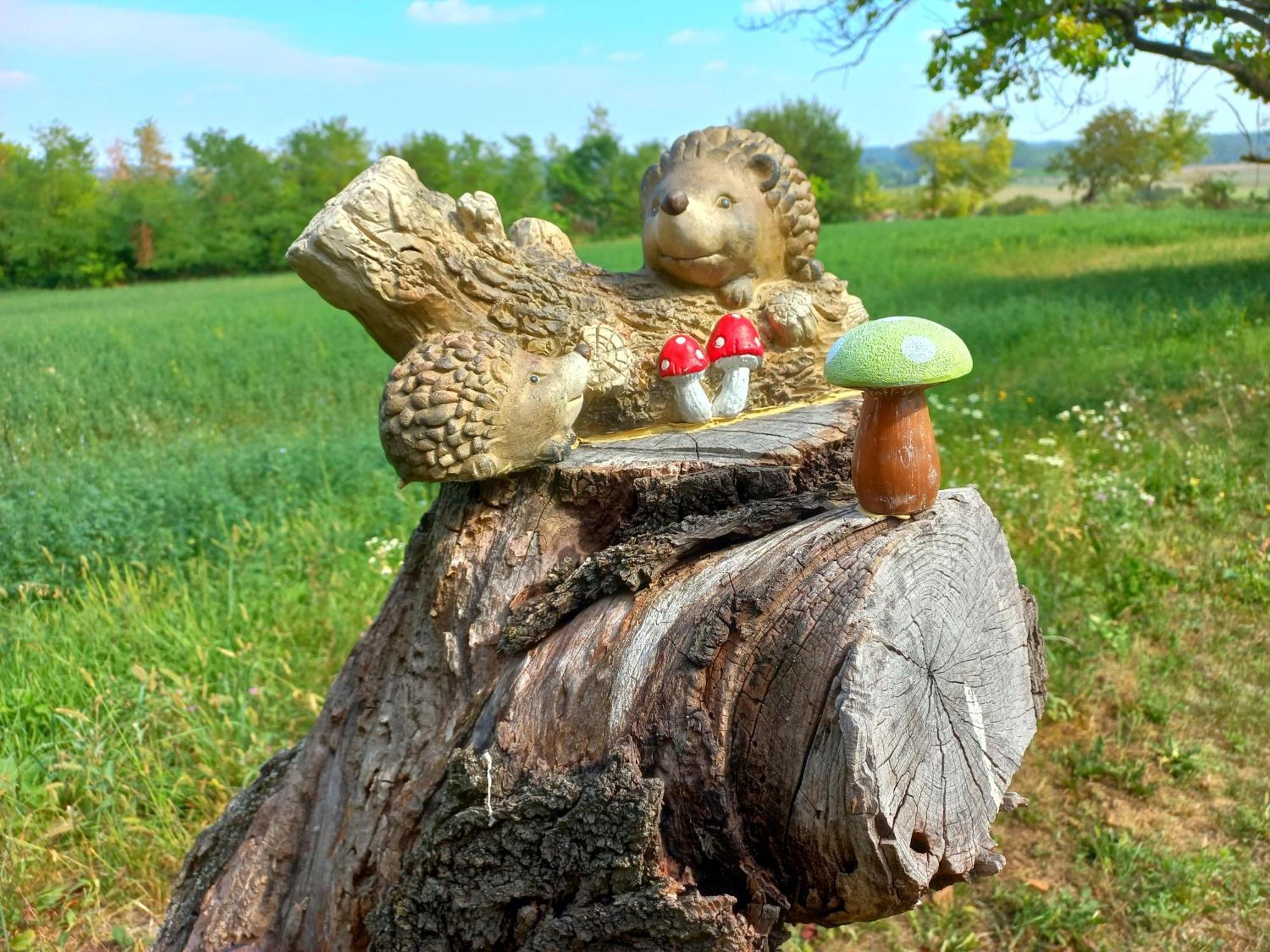 Honey Hill Apartment Fruska Gora Cerevic エクステリア 写真