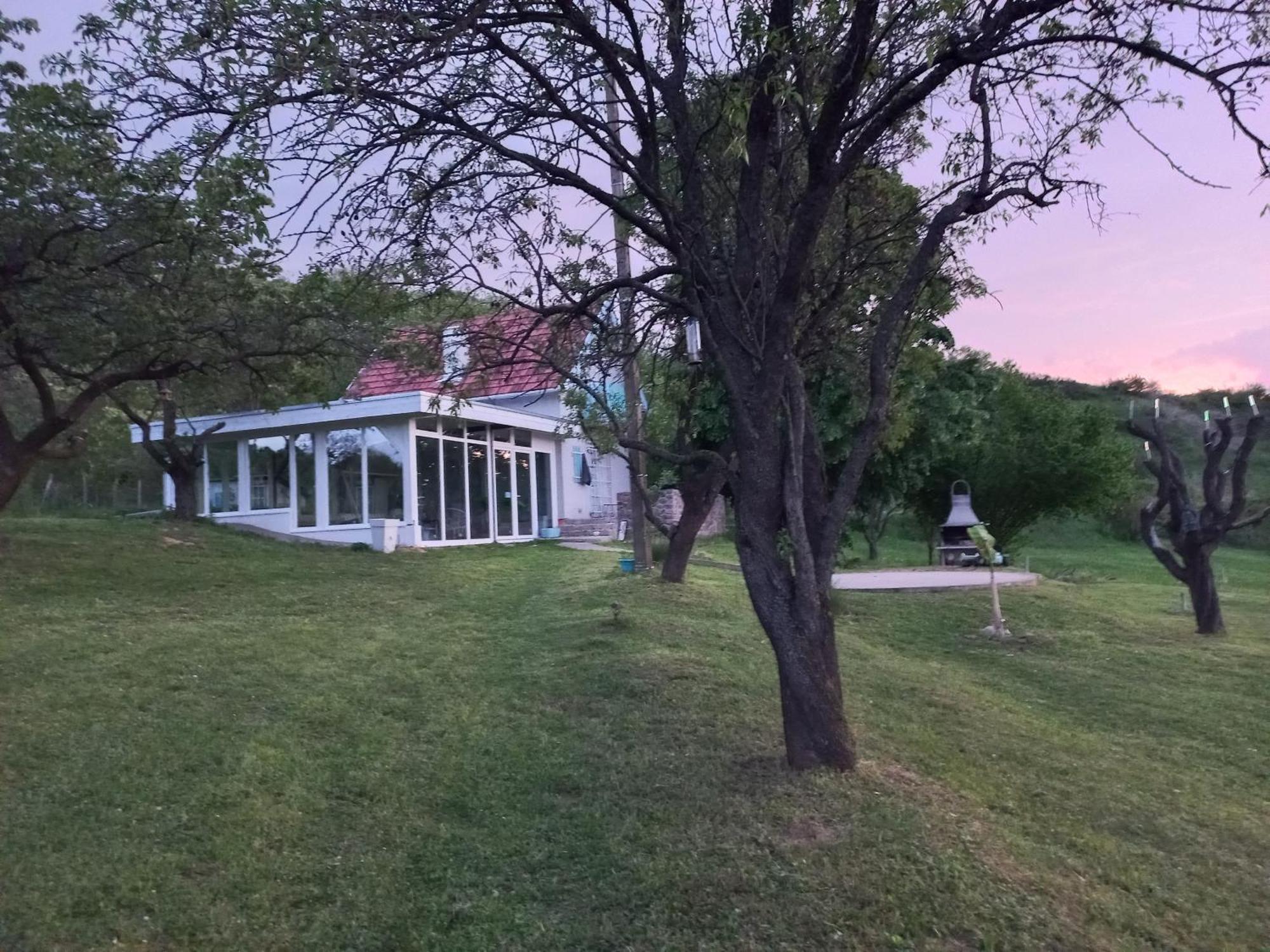 Honey Hill Apartment Fruska Gora Cerevic エクステリア 写真