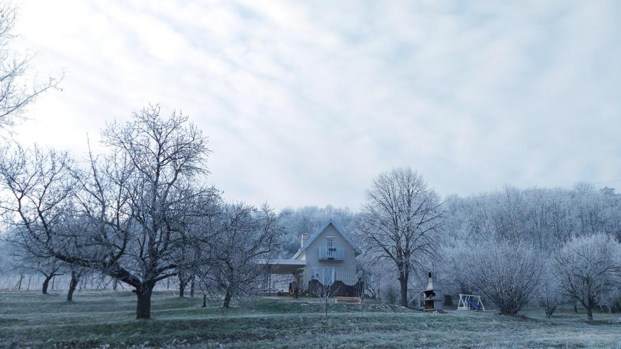 Honey Hill Apartment Fruska Gora Cerevic エクステリア 写真